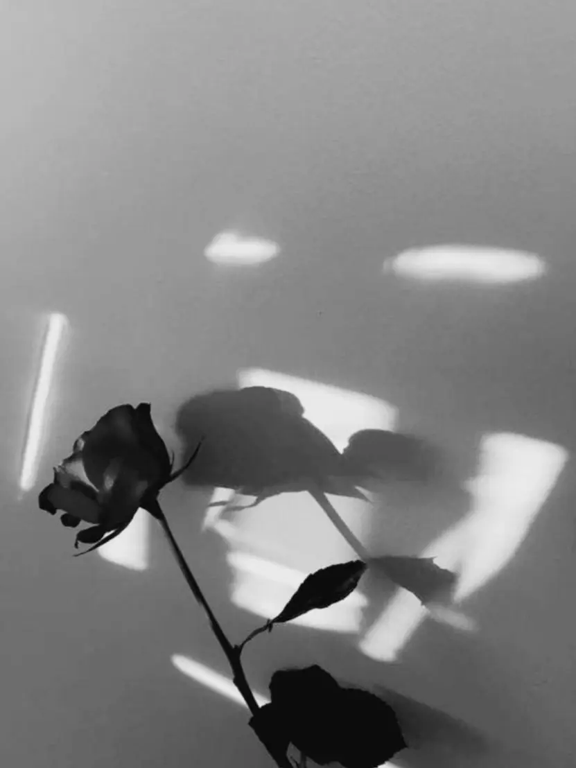 Conventional의 공시화