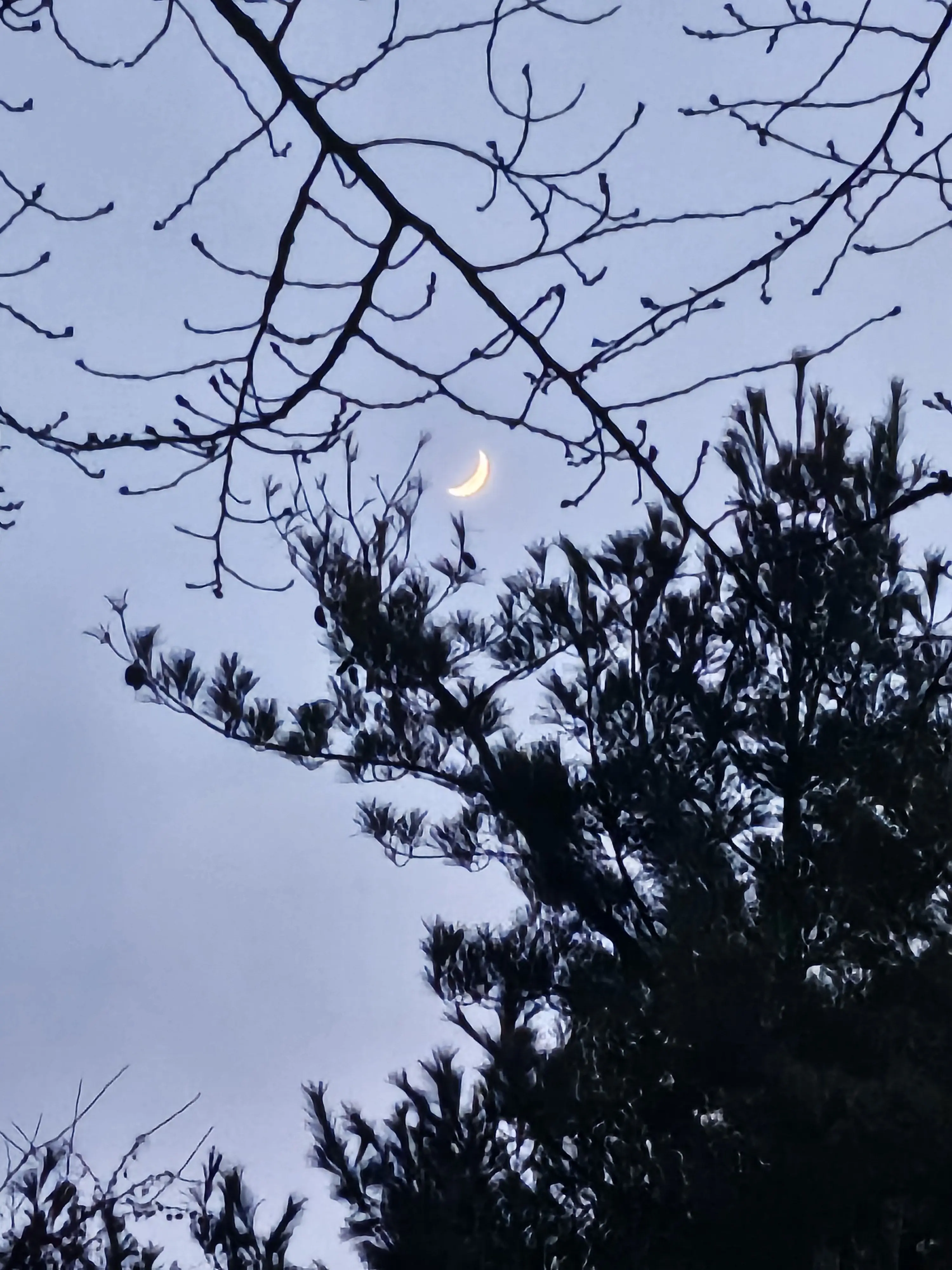 ModestBerry2175의 '미안해..{(guest)}'