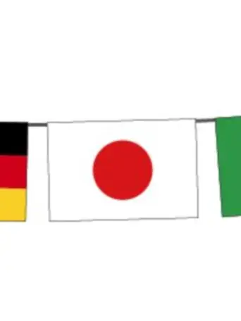 CandidDingo3201의 枢軸国