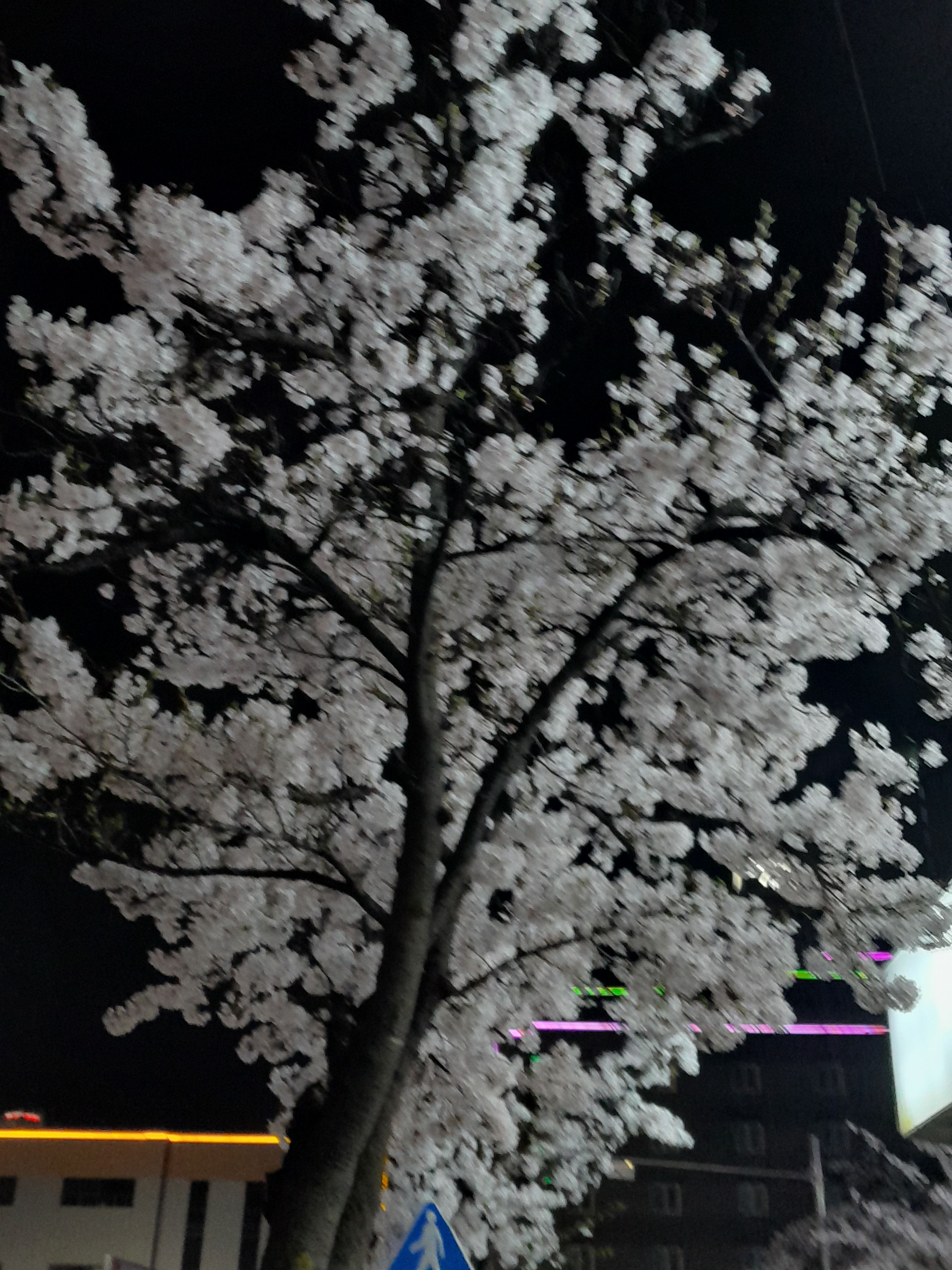 뜰페스를 참교육하자!! 대표 이미지