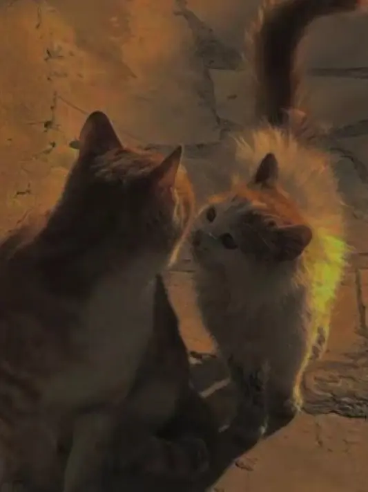 haniwa_sab의 秘密の放課後