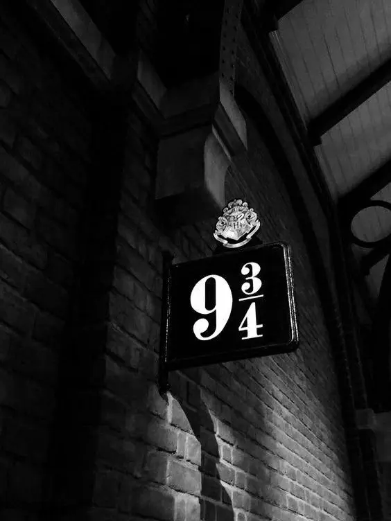 FoggyVideo2717의 스키즈 호그와트