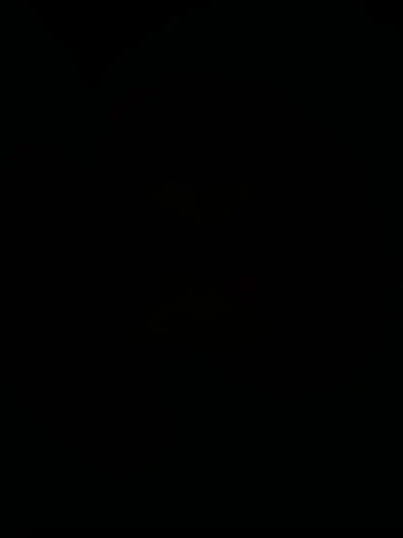 BlackGlobe1337의 5공주