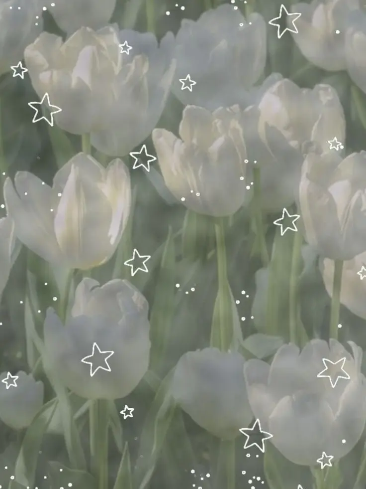 PastelMoon7574의 保健室の先生