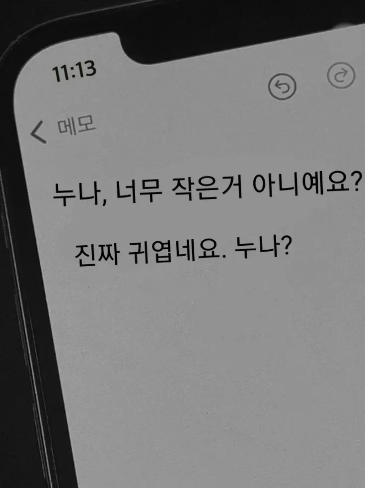m_ilkoy의 누나, 너무 작은거 아니예요?