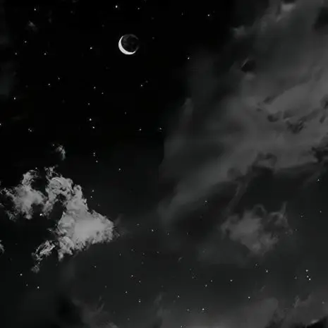 a_flower_on_the_heart의 각별