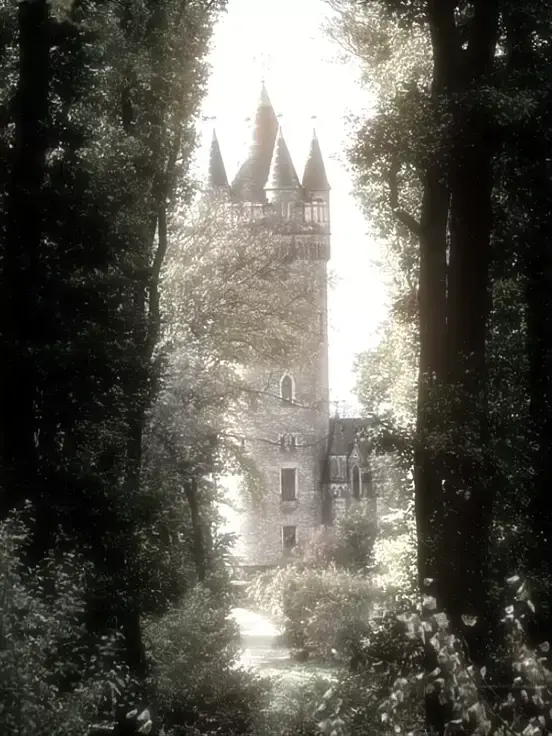 lasagnaplease의 Lussof Archive; Amnesthesia