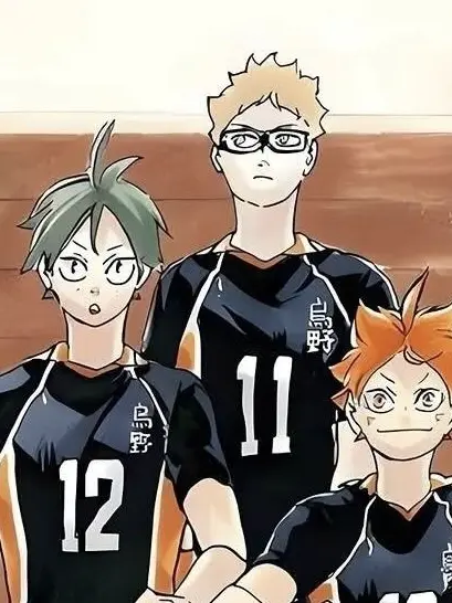 WellStock8521의 Karasuno High School