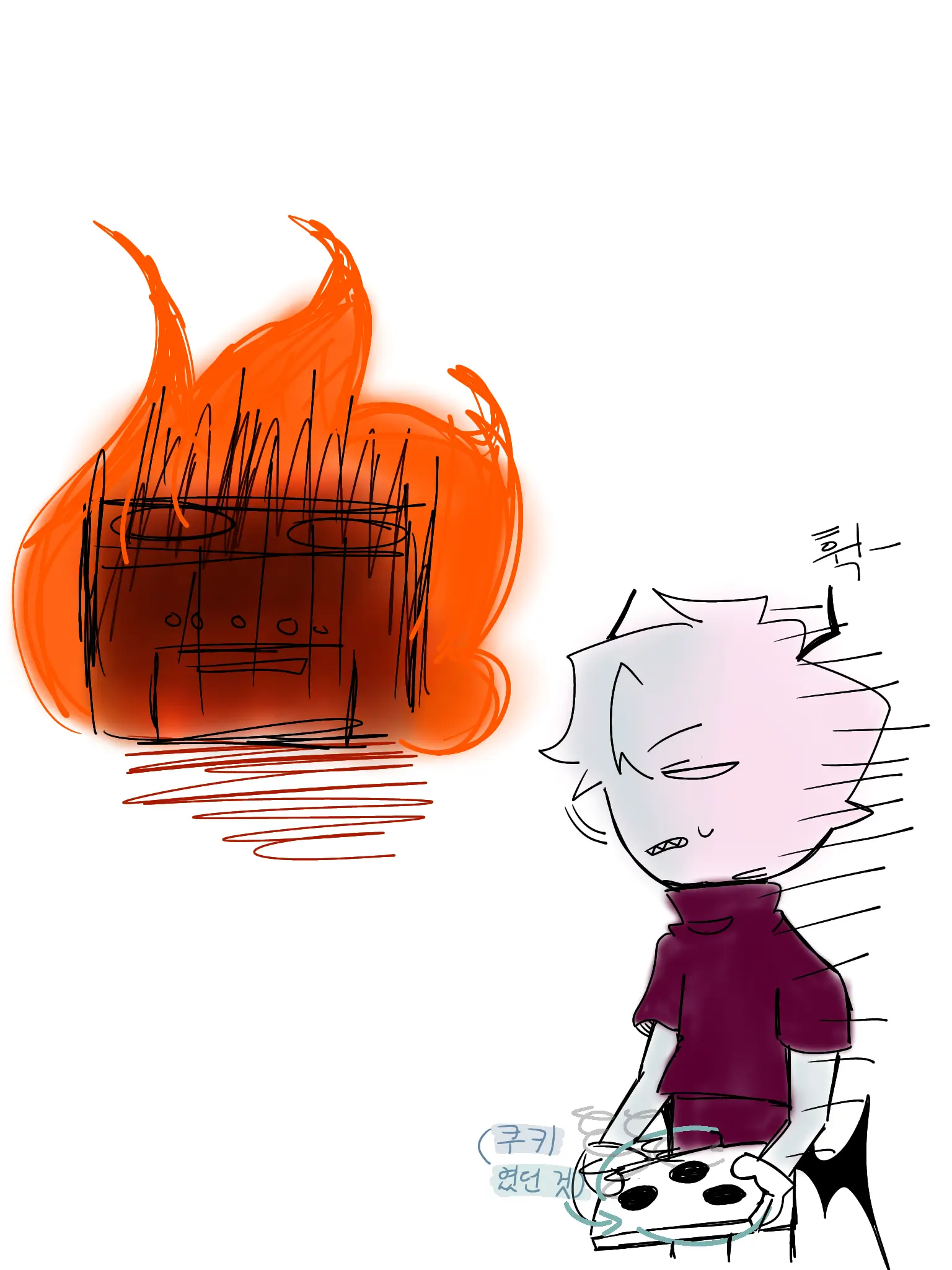 Lizer의 부엌을 태워서 멘붕이 와버린 셀레버