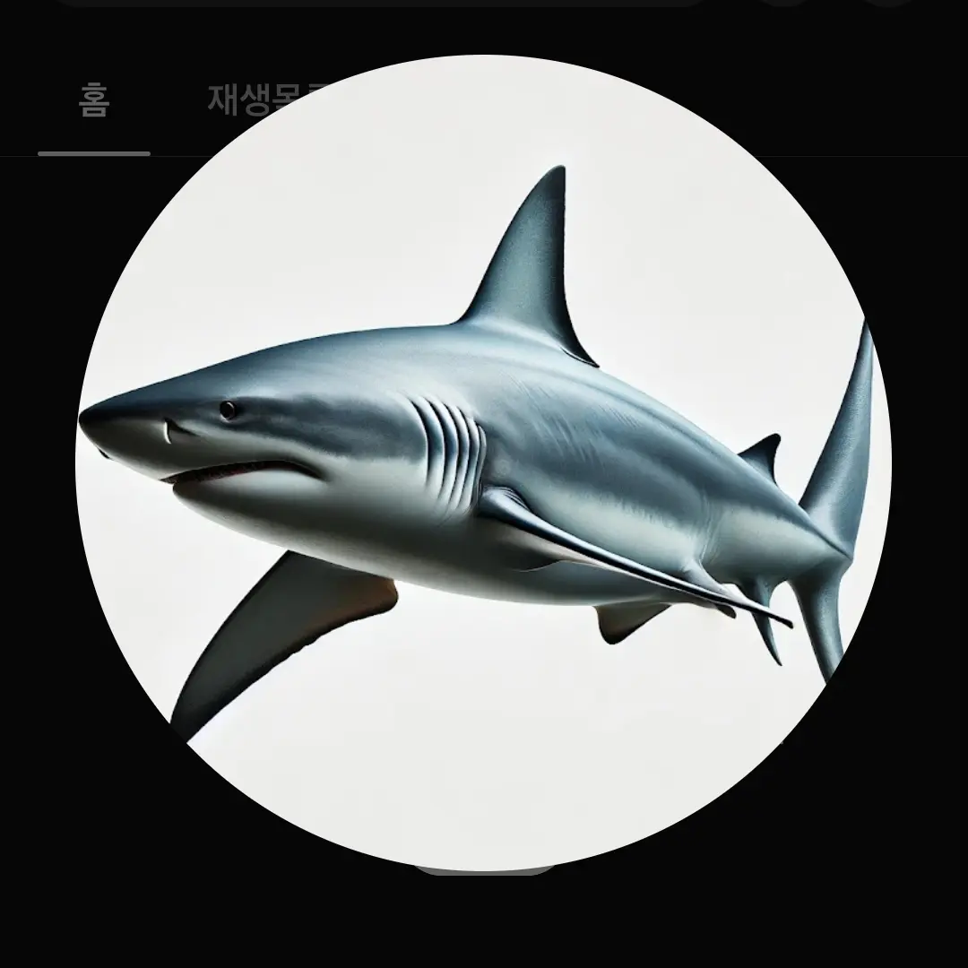 Ishark의 초등학교 교사가 좋아하는 사람은 나?