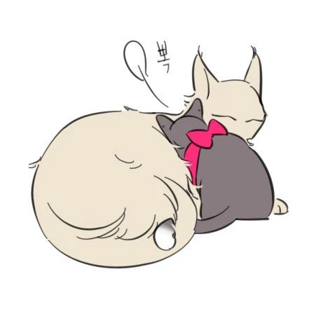 내가 키운 S급들