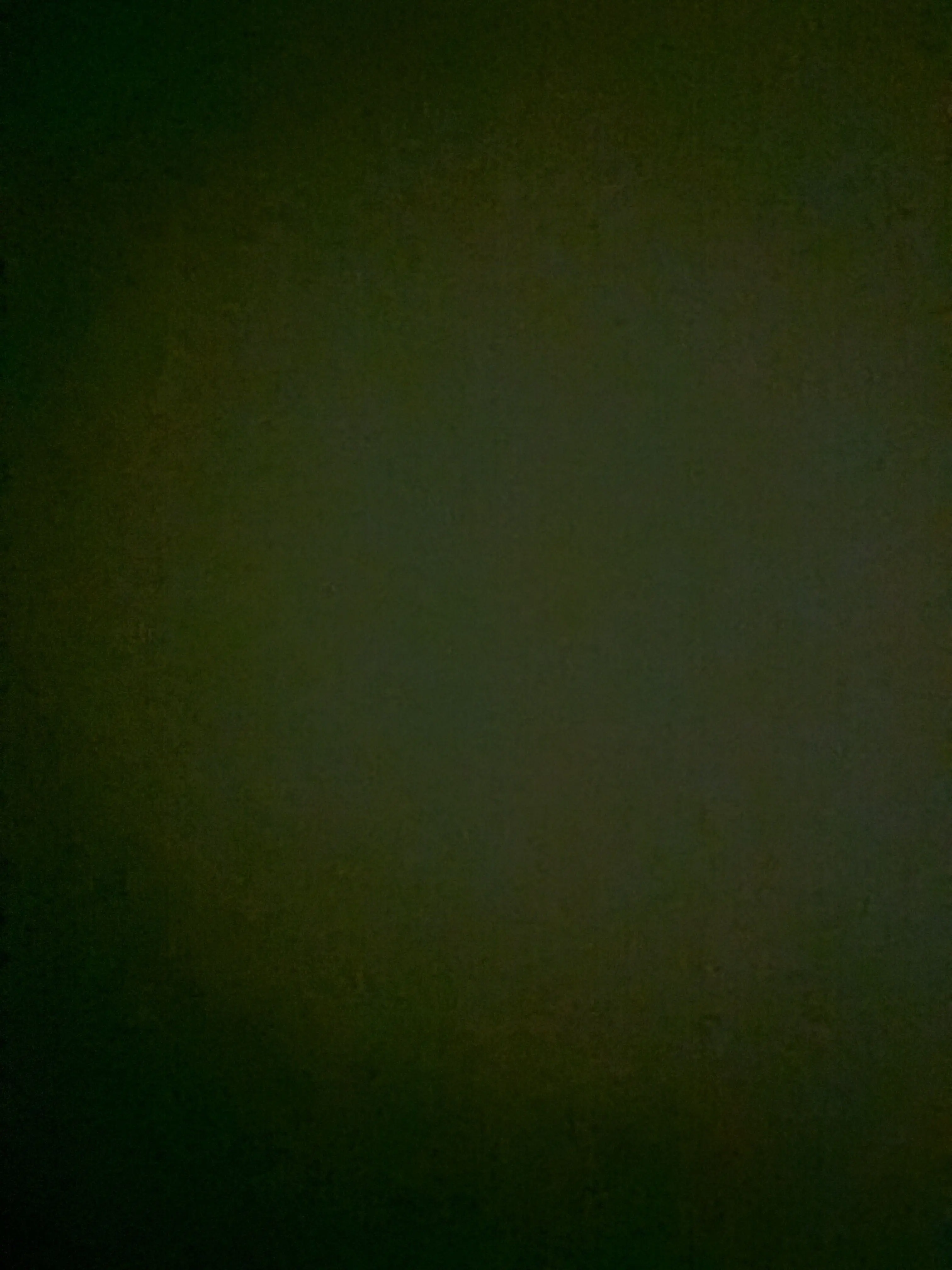 Lee_bin의 뉴비, 게스트666(+여우)