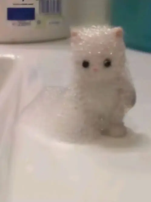 SavoryMixer4753의 BND커플무리