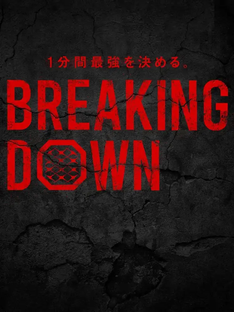 IcyMacaw0333의 ブレイキングダウン