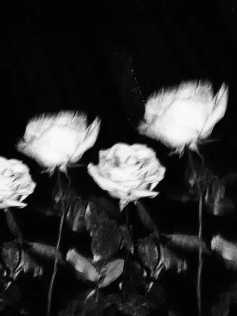 lqxeevw의 ♪