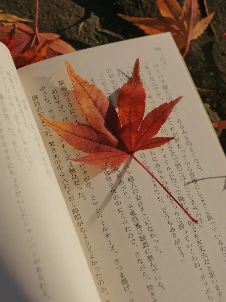 SmellyValue5171의 アキ
