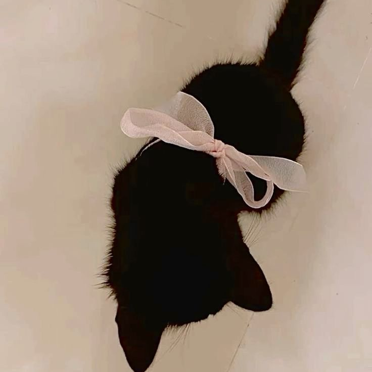 백 유하 대표 이미지