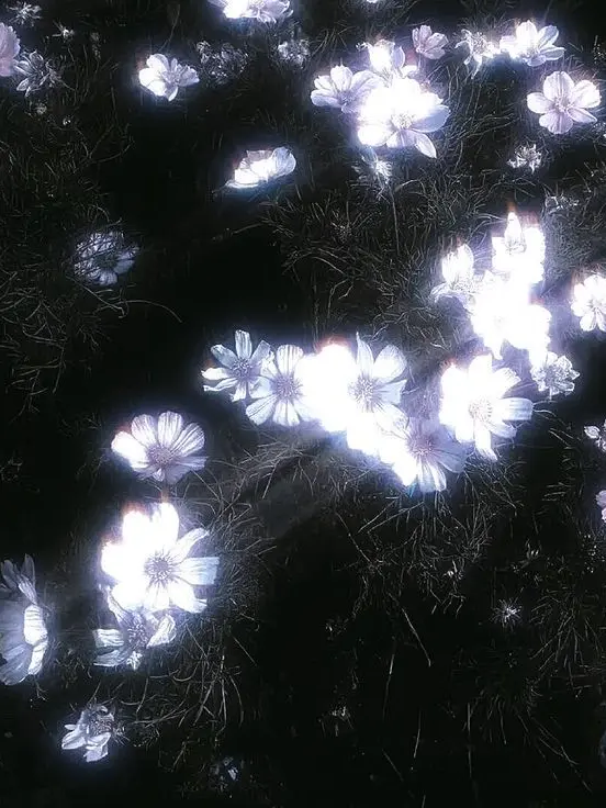 azas_www의 넌 죽어도 천국 못가.