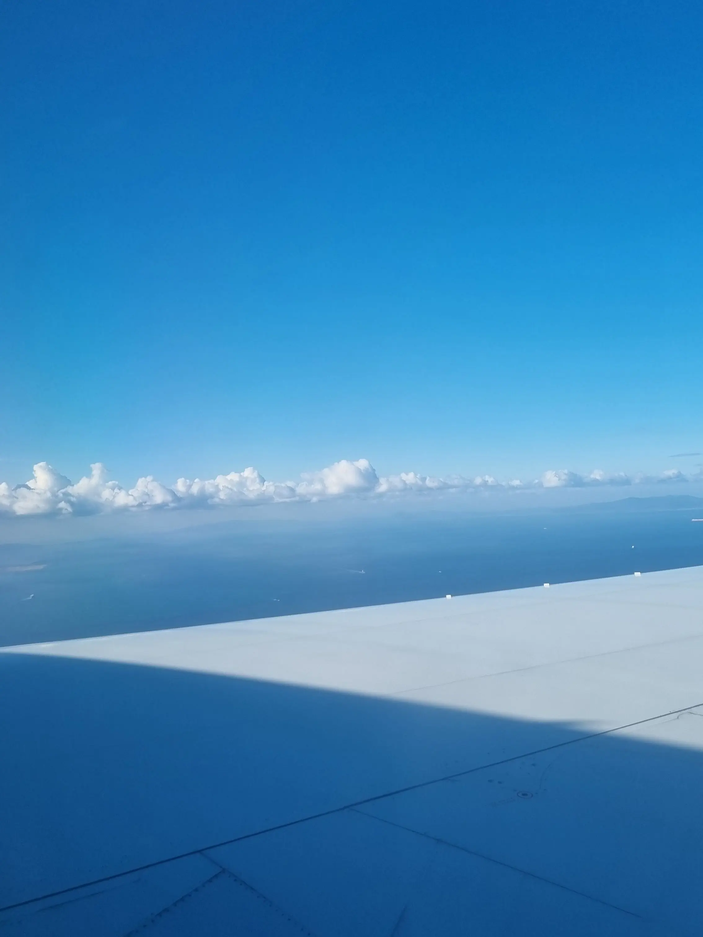 FeebleVise2090의 ...뭐 뭘봐