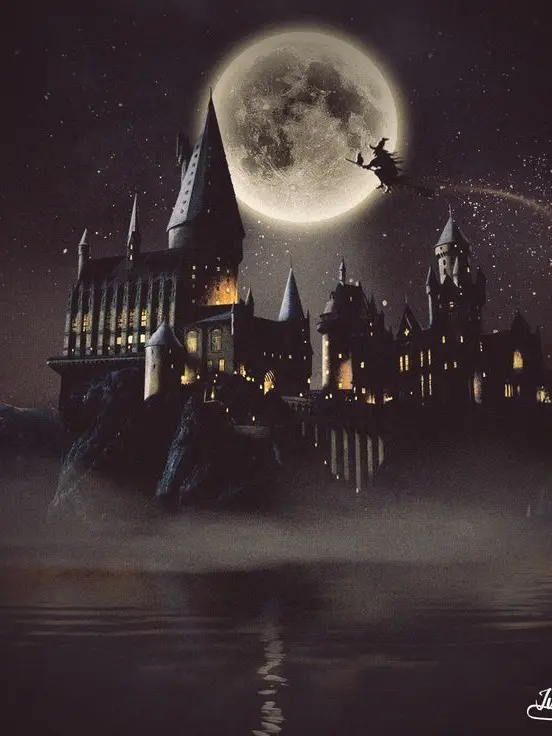 C0T의 호그와트 RPG