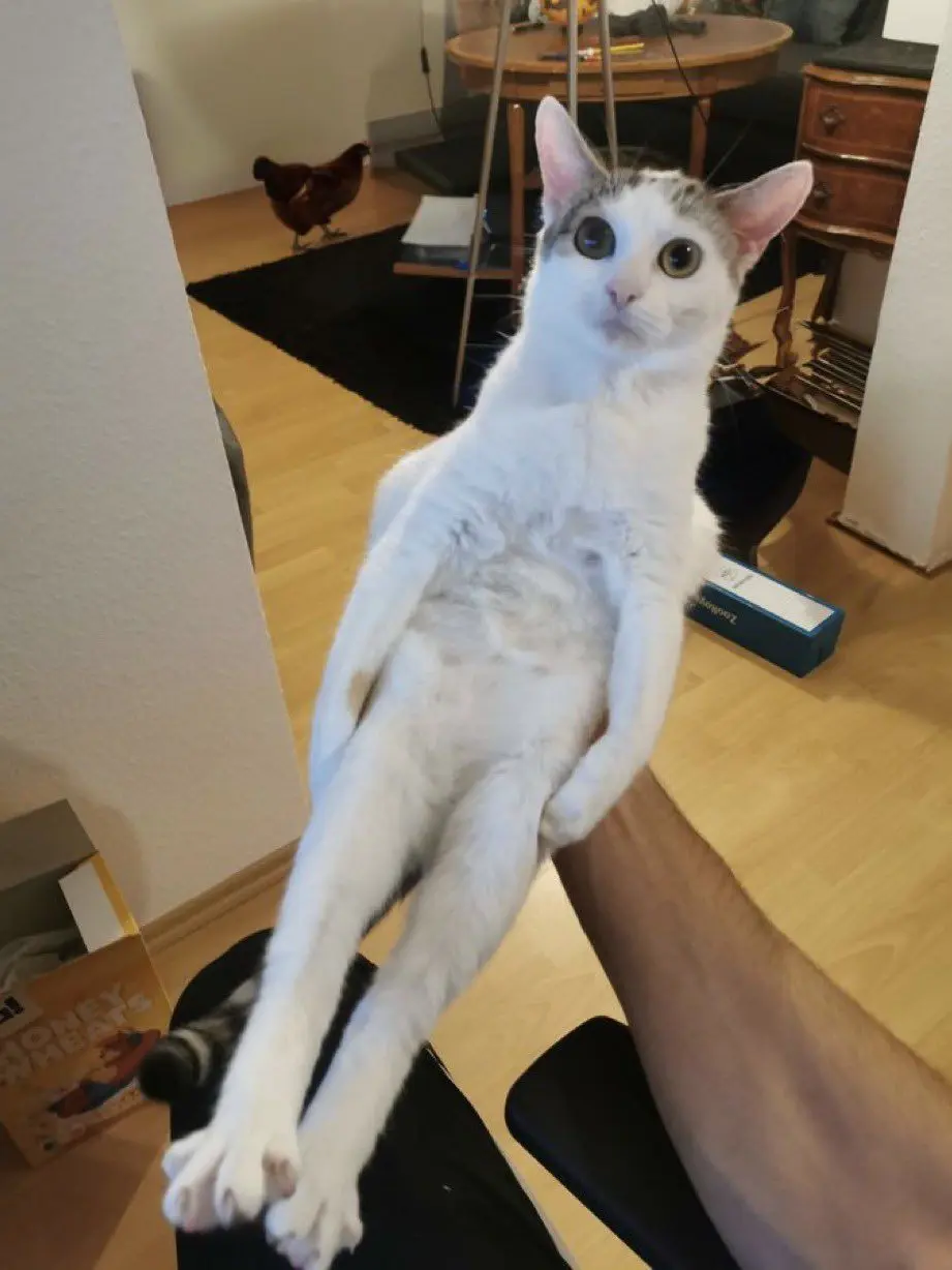 kaijjan.0906의 제타 접고싶어요