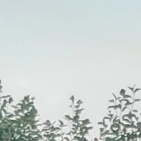꿈