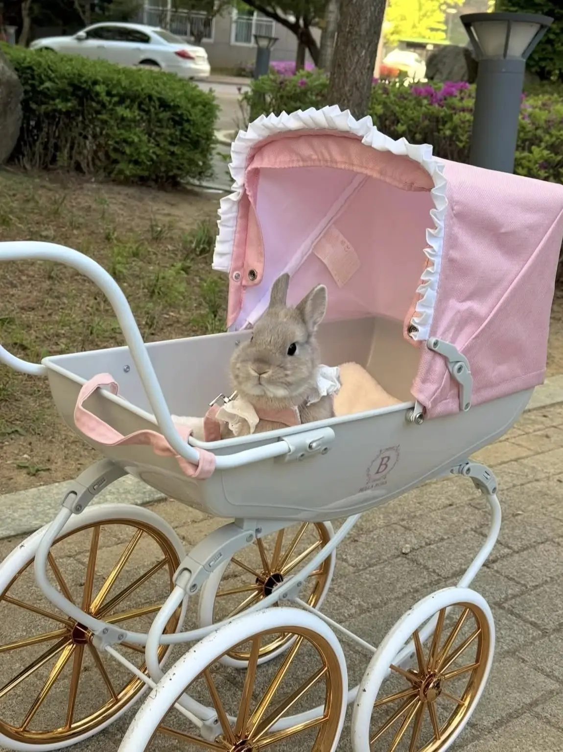 _Iove의 집사님
