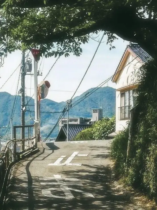 abahsi55의 [ 청춘 ]