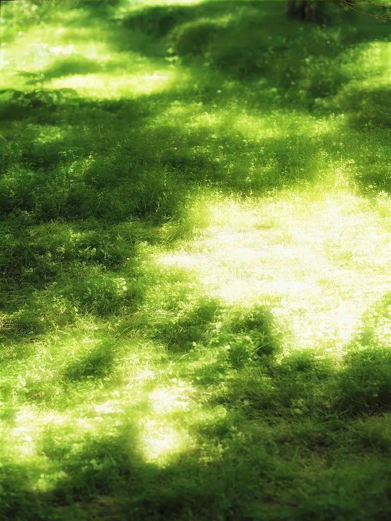 Stop_b_reating의 수인 고등학교 2학년 3반