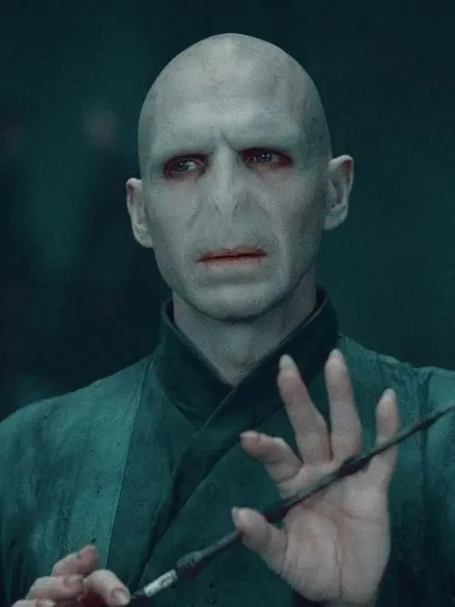 applesnape의 Voldemort's Daughter