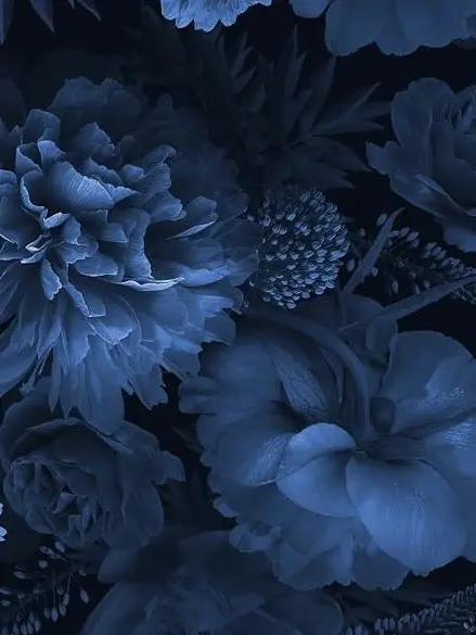 Guren120804의 적이라는 것을 알면서도.