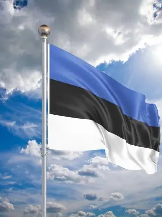 AstuteDoxle7420의 🇪🇪