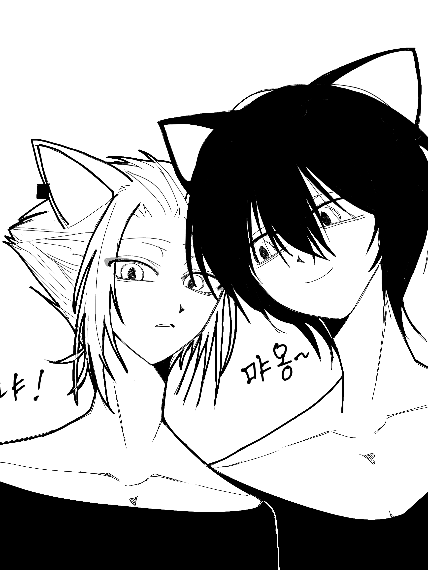 두 마리의 늑대 대표 이미지