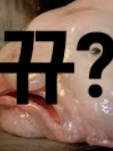 oix.zysx.의 십이귀월-상현집결2