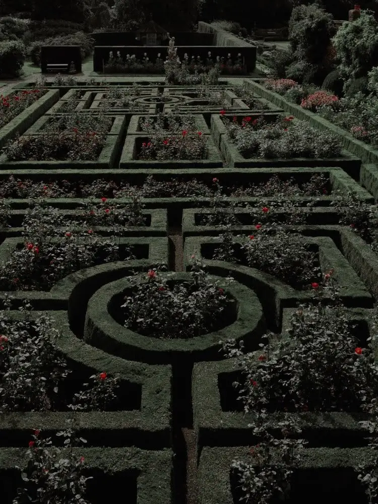 zipslum의 Maze of Petals