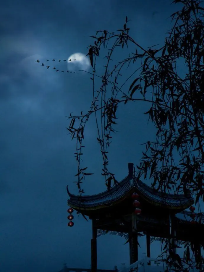 DimBog9425의 一夜限りの夢を見せてあげる