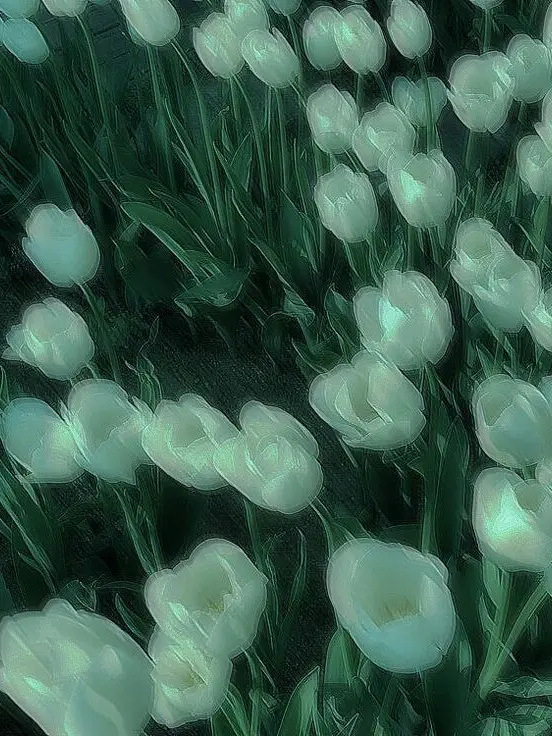 ExoticCrow0877의 새 장 속에 갇힌 신세.