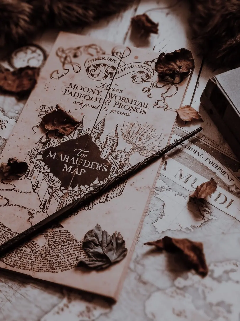 evedaws의 The Boy Behind The Moon