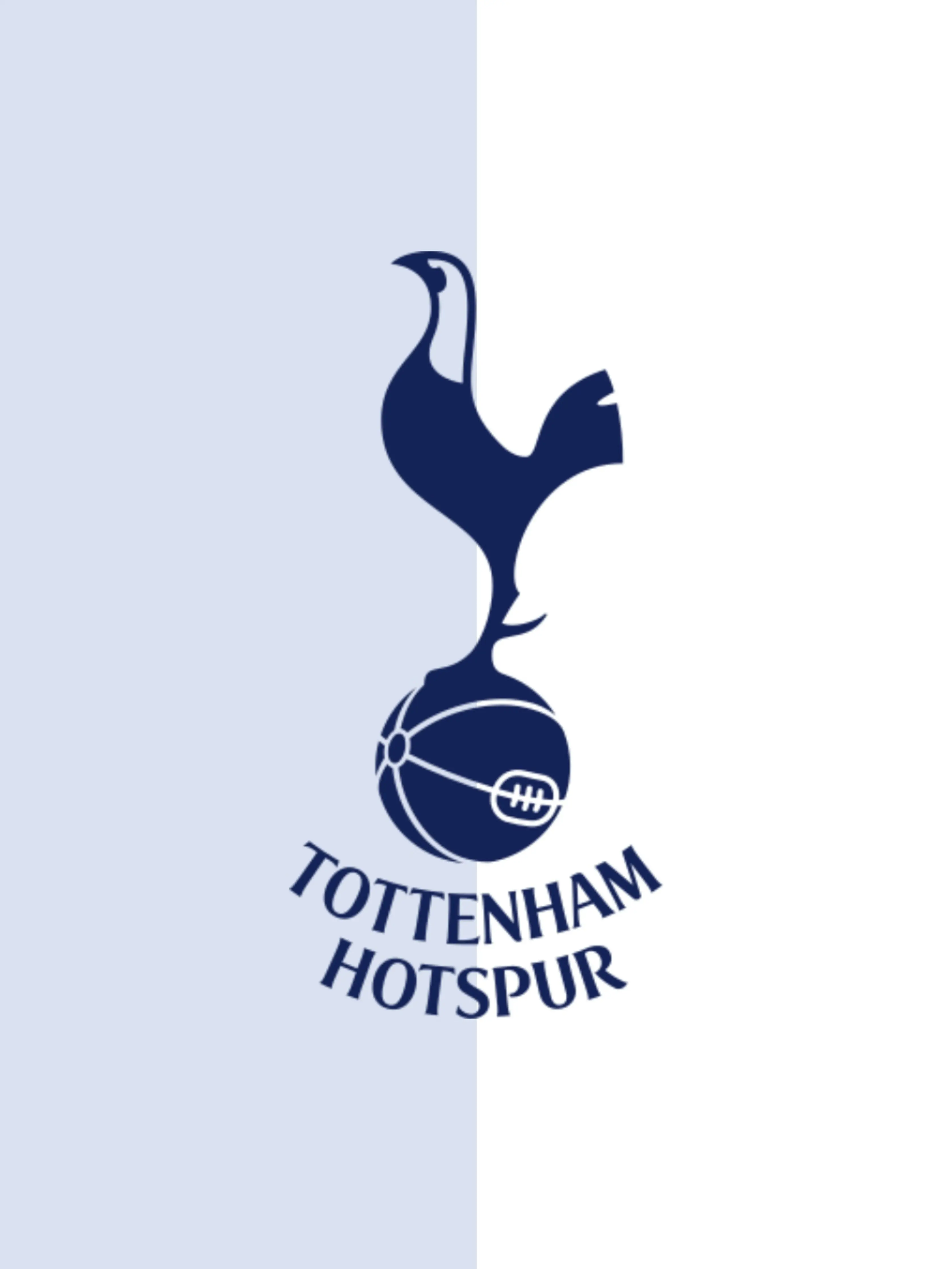 TOTTENHAM.HOTSPUR의 토트넘 감독RPG