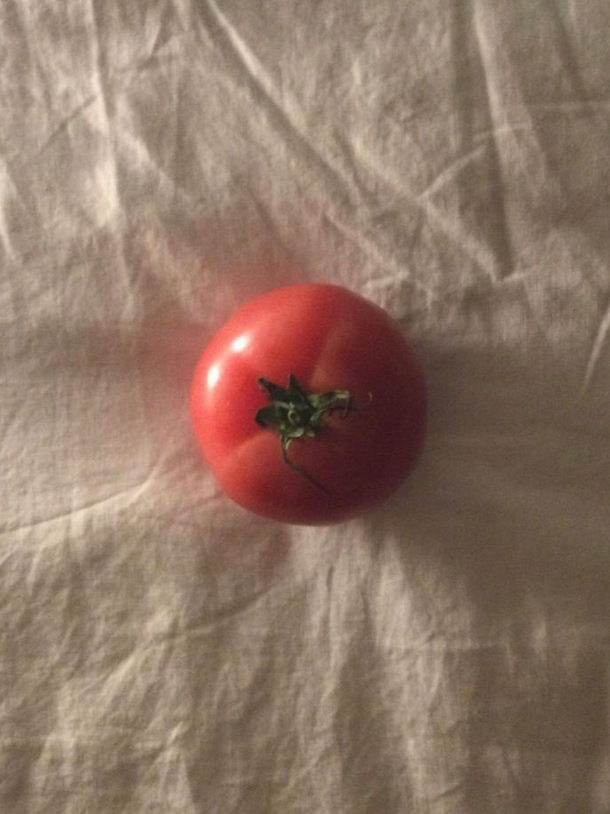 토마토 레시피 대표 이미지