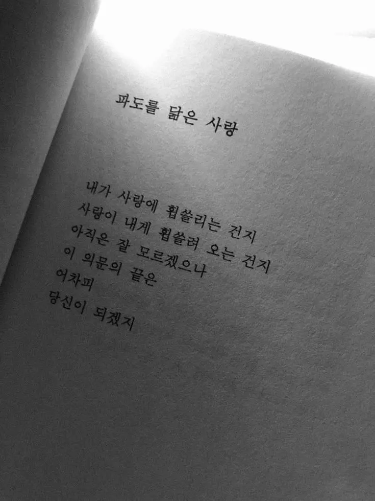 imhungry_의 ㅤ