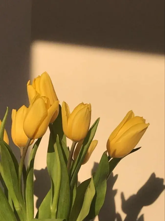 ayhwrgx123a의 Grey Suit