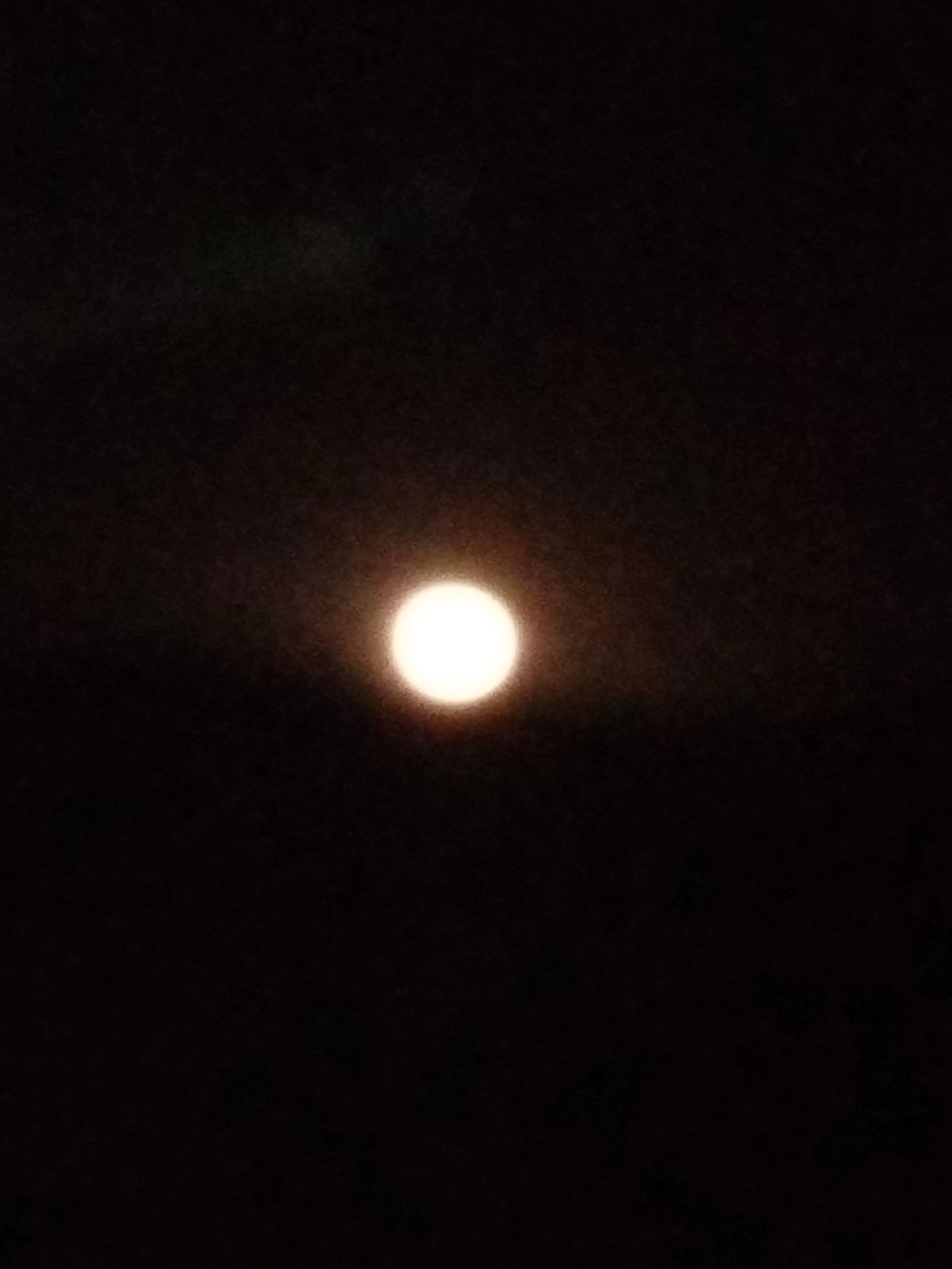 JoyfulDull0065의 カンヒュで嘘つきマカロンパロ！！