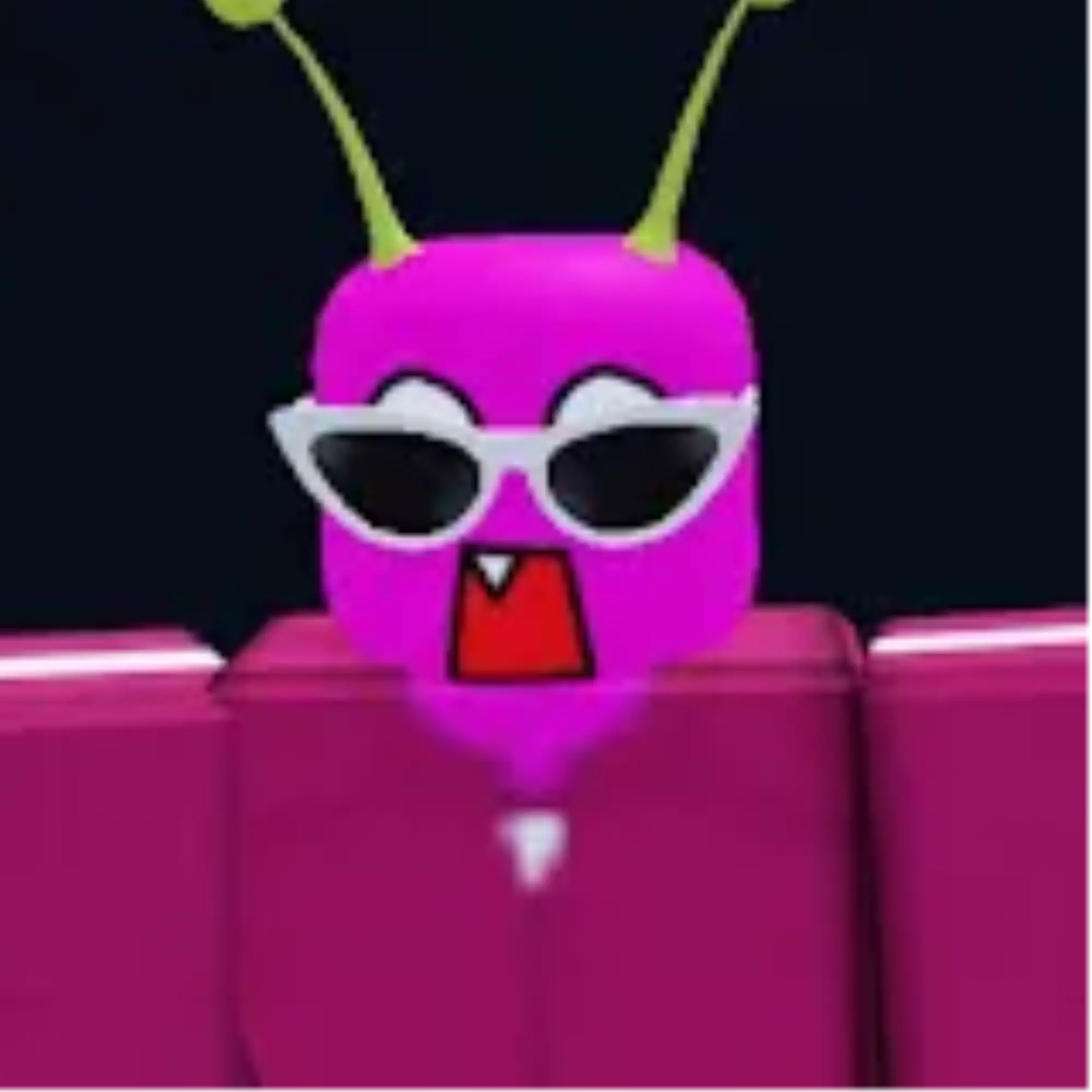 14002의 단포의 생일파티!!