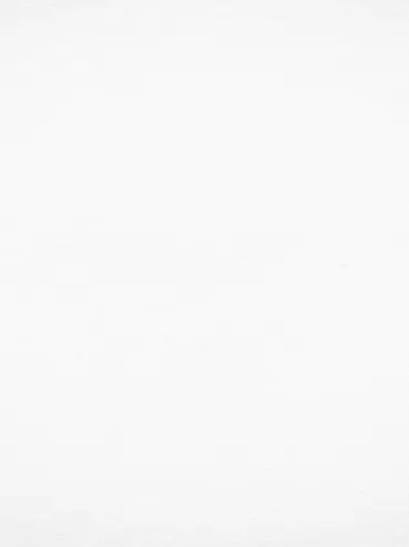 fo_x05의 ぬい🌀