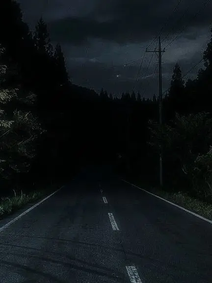 StuffyYen5142의 夜道