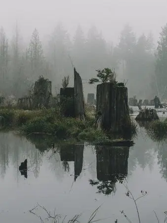 YU-09create의 9112레벨 습지대 부량지