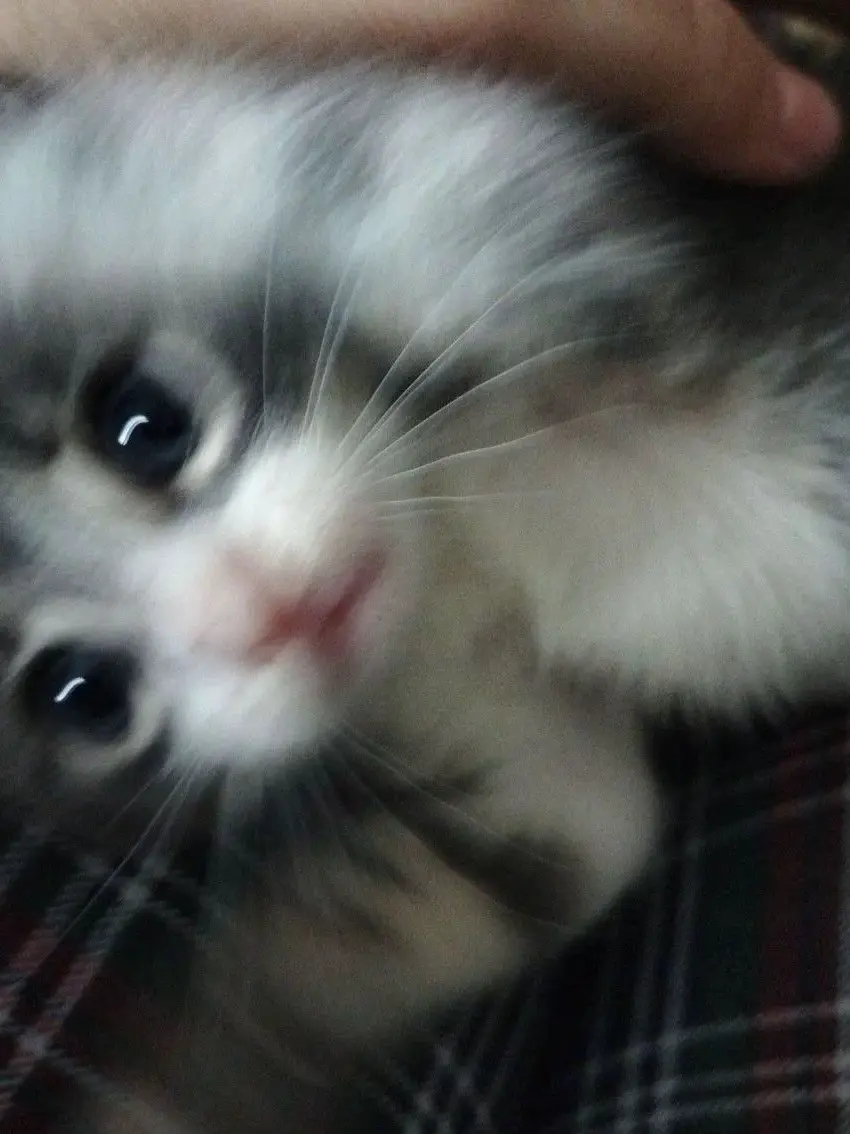 .....ux의 Menhera