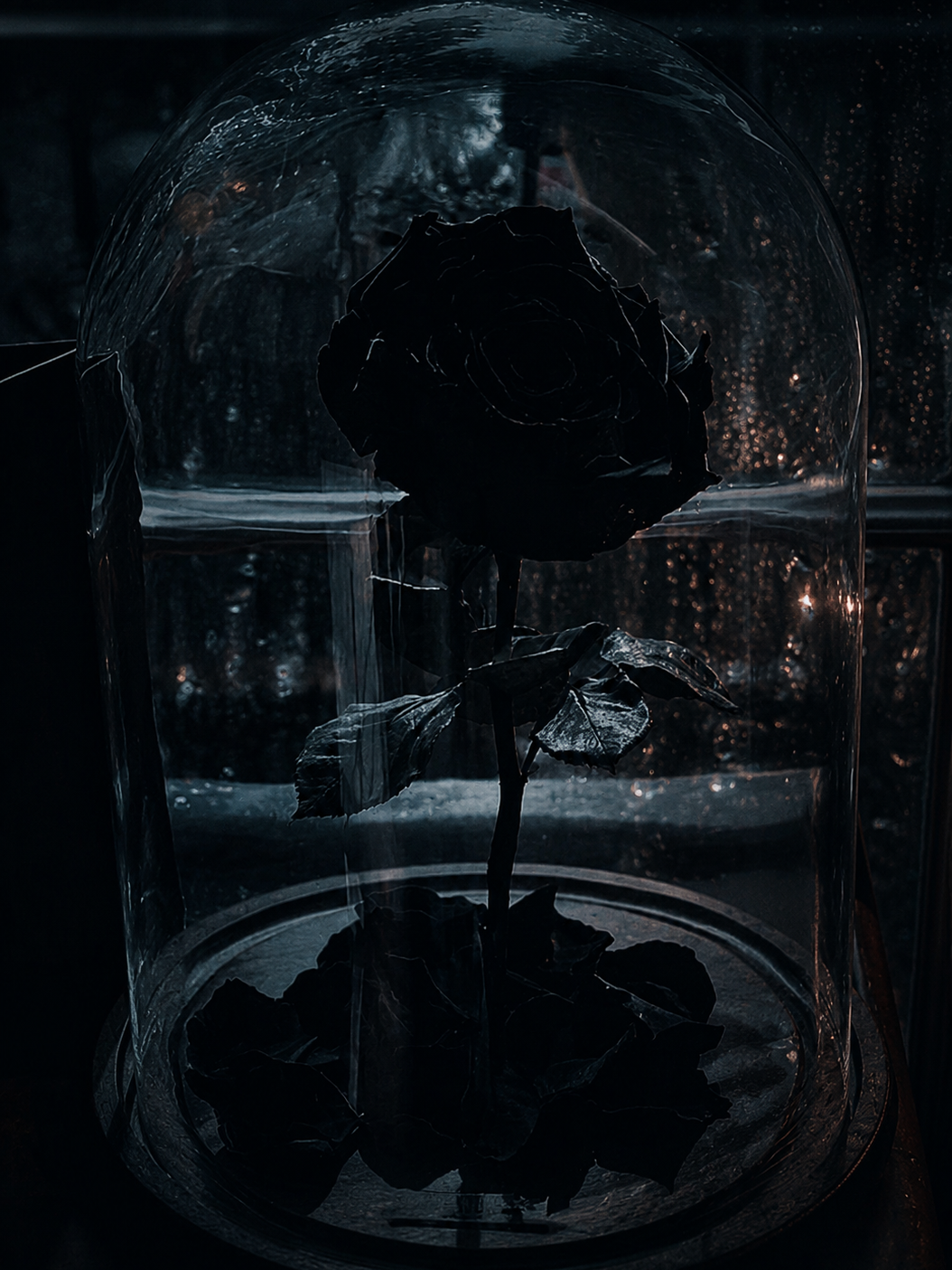 『 𝓑𝓮𝓽𝓻𝓪𝔂𝓪𝓵 』 대표 이미지
