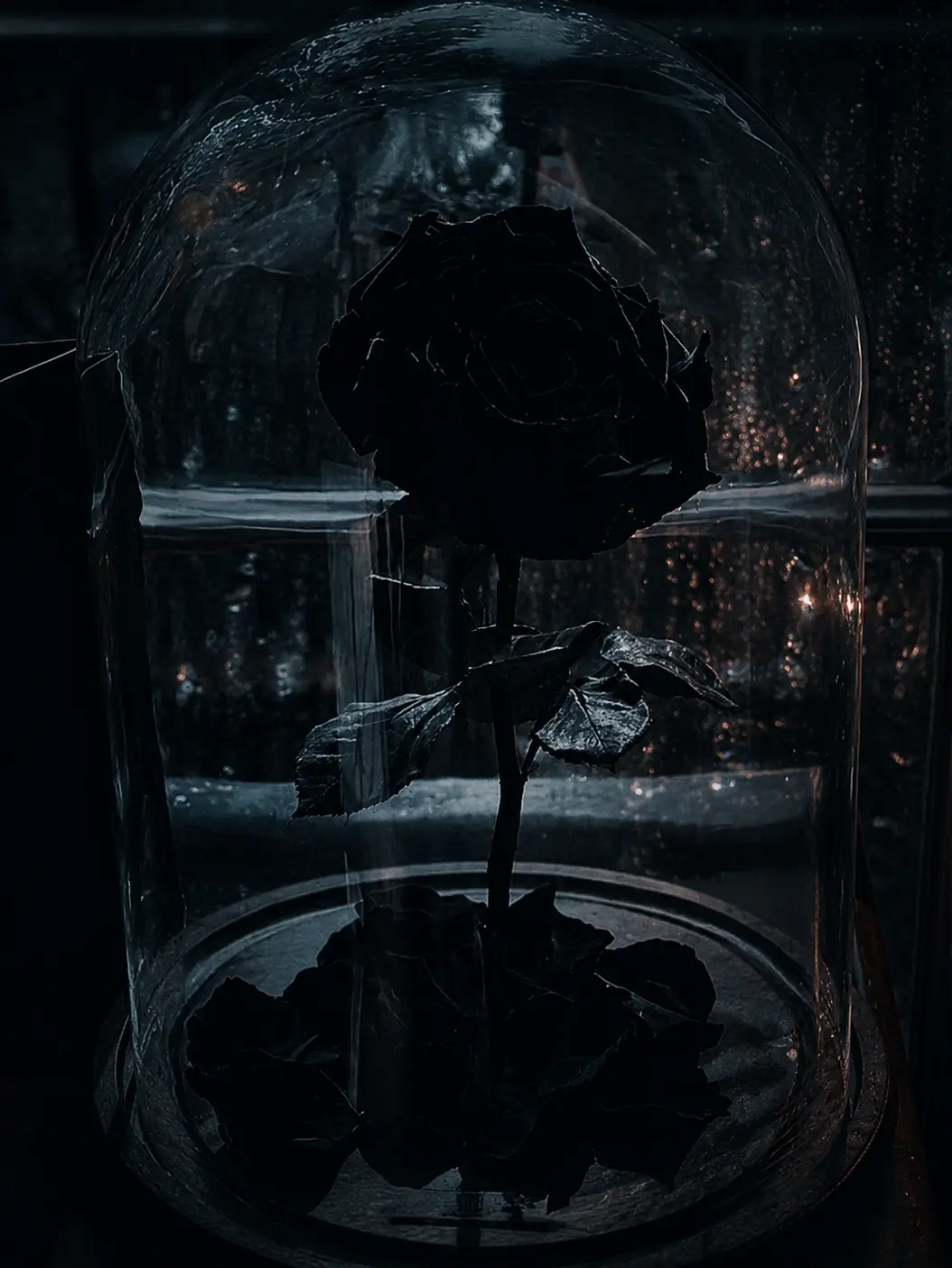 seriel_1124의 『 배신 』